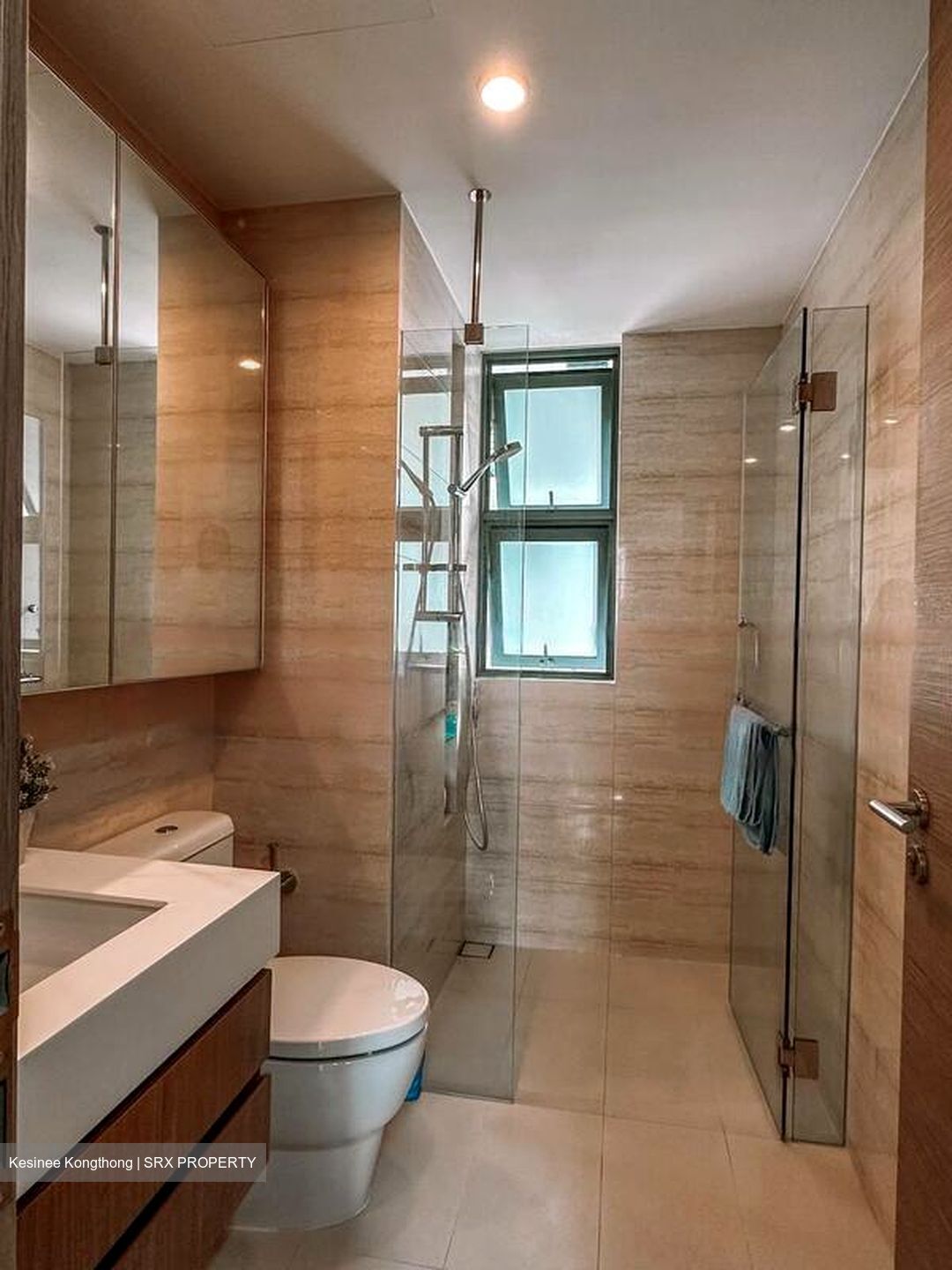 The Palette (D18), Condominium #480569731
